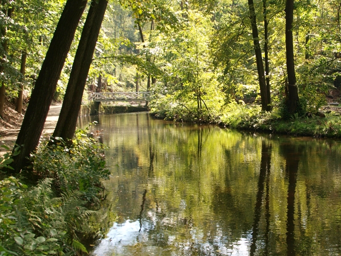 Seifersdorf Gemeinde Wachau